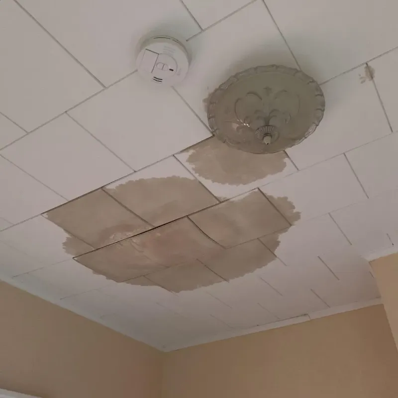 Ceiling Water Damage Repair in Bienville Parish, LA