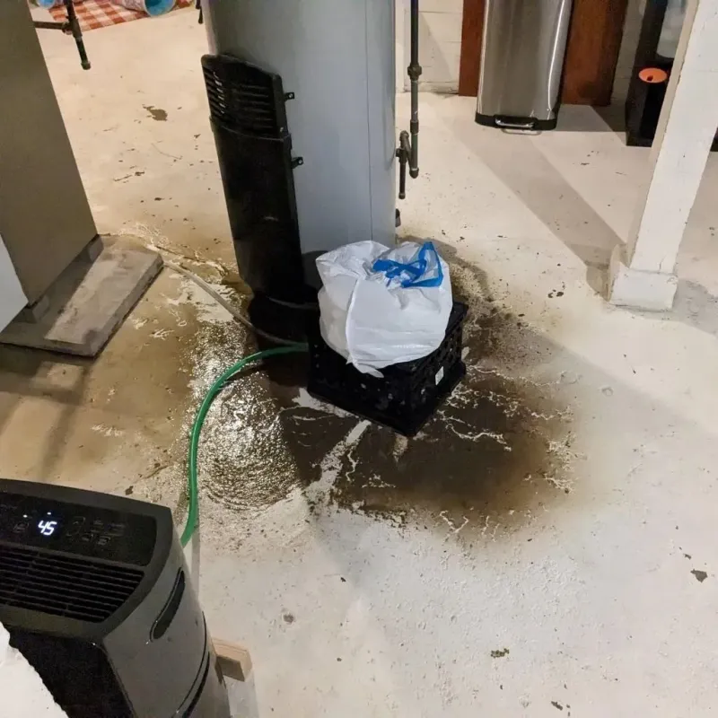 Sewage Backup Cleanup Service in Bienville Parish, LA
